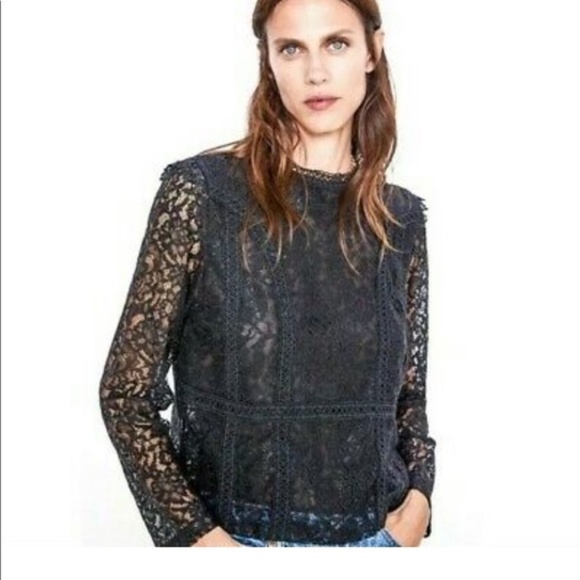 Zara Black Lace Top Semi-sheer Round Neck Long Sleeves - Picture 1 of 3